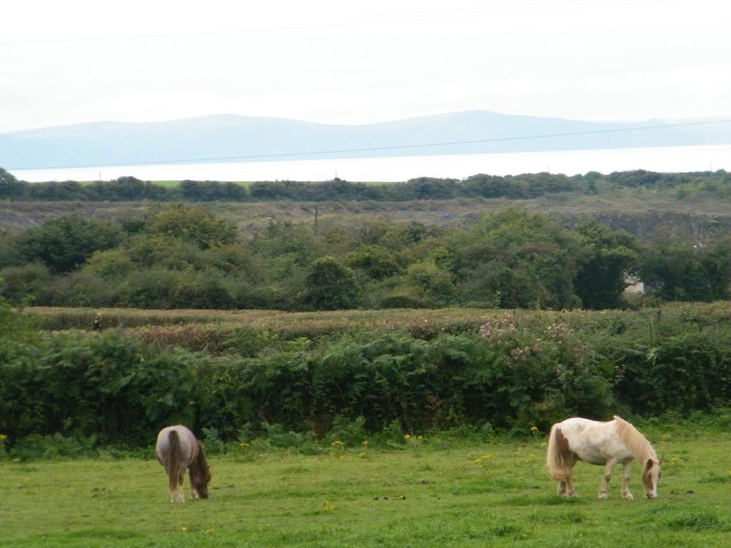 Ballas Farm Country Bridgend (Wales)
