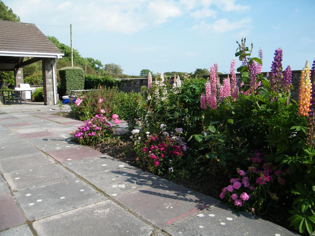 Alojamento de Acomodação e Pequeno-almoço Ballas Farm Country Bridgend (Wales)