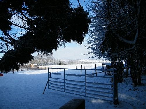 Ballas Farm Country Bridgend (Wales)